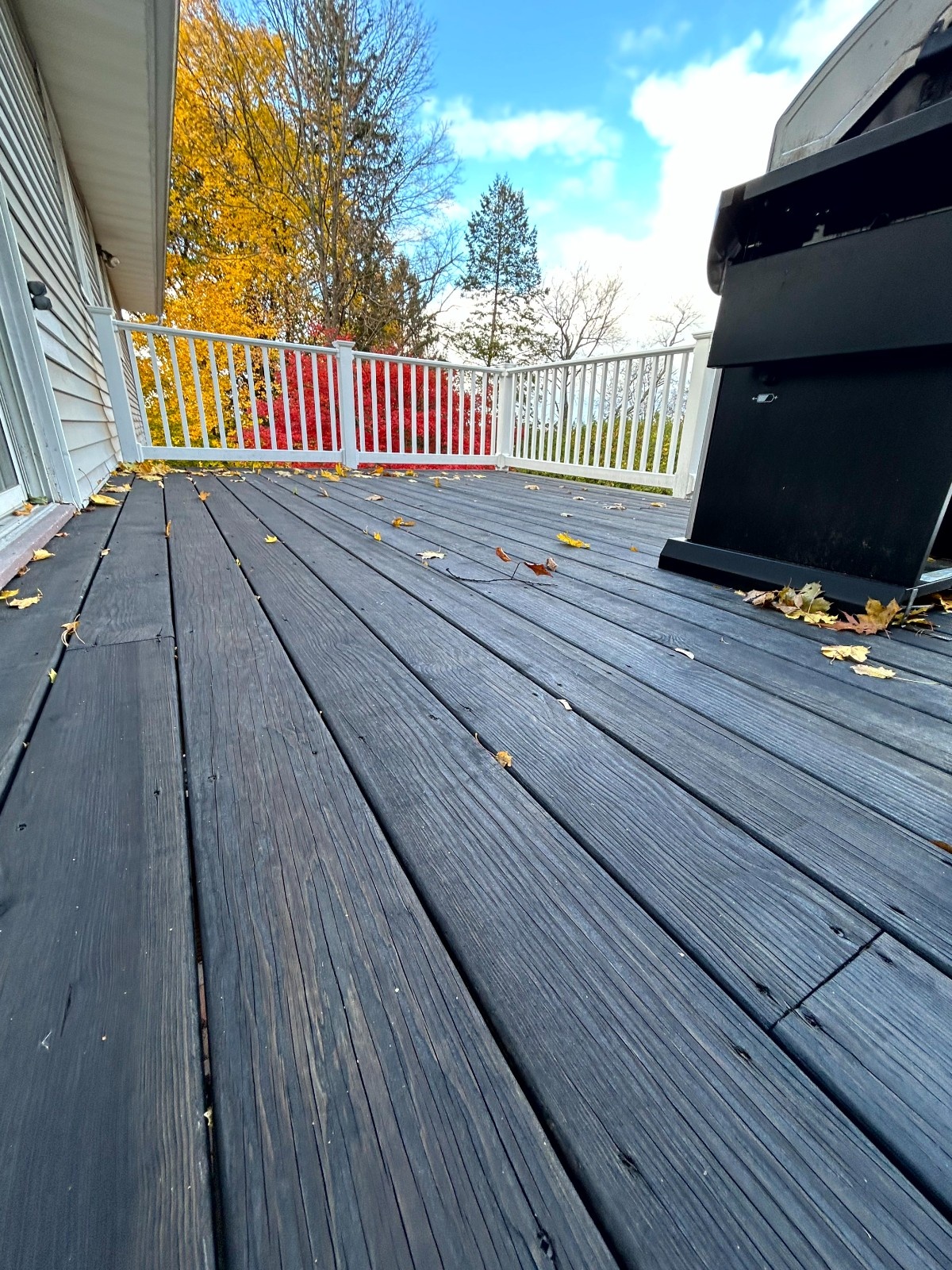 Professional Deck Staining service showing deep charcoal stain on wood planks and clean white painted deck railings.